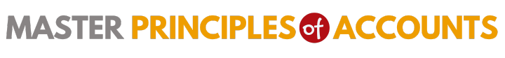 Master Principles of Accounts Logo