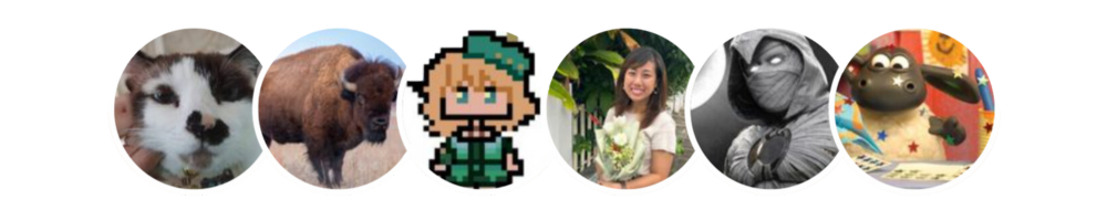 Avatars of students